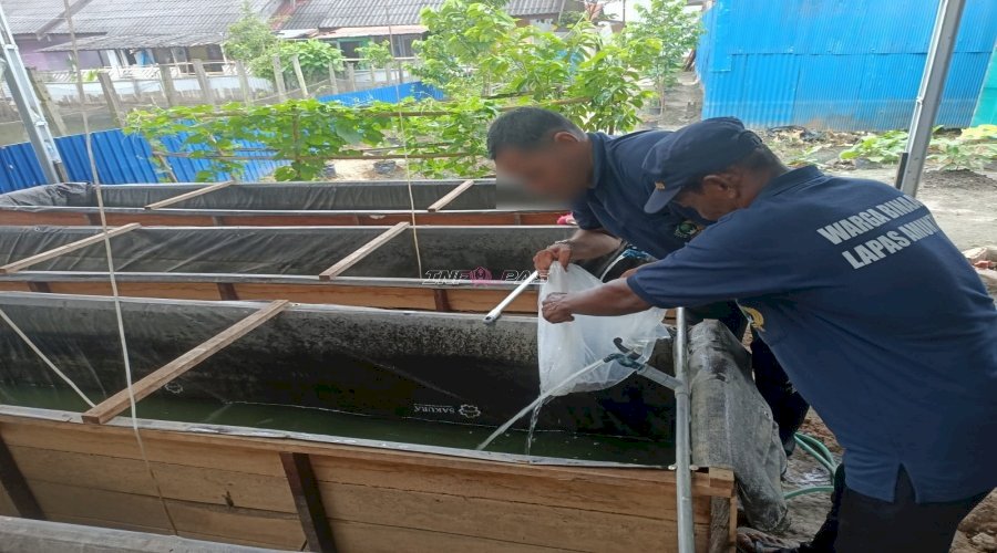 Lapas Amuntai Tebar 2.000 Bibit Lele di Kolam Keramba SAE, Perkuat Program Pembinaan dan Ketahanan Pangan