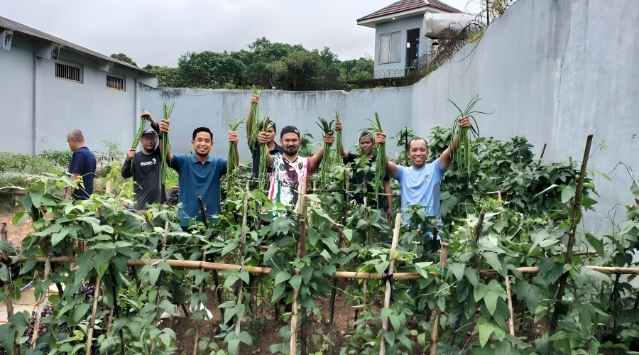 Panen 37 Kg Kacang Panjang, Warga Binaan Lapas Narkotika Karang Intan Asah Keterampilan Bertani