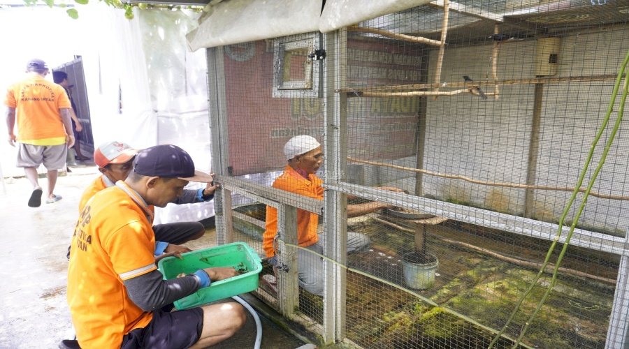 Warga Binaan Lapas Narkotika Karang Intan Kembangkan Penangkaran Murai