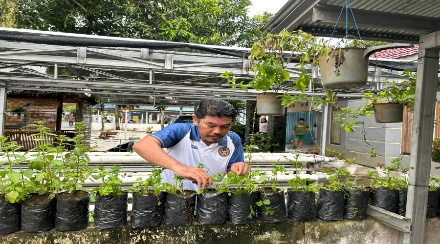 Panen Seledri di Lahan SAE Terbatas, Bukti Pembinaan Produktif Warga Binaan Rutan Rantau