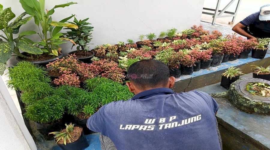 Warga Binaan Kembangkan Budidaya Tanaman Hias di Lapas Tanjung