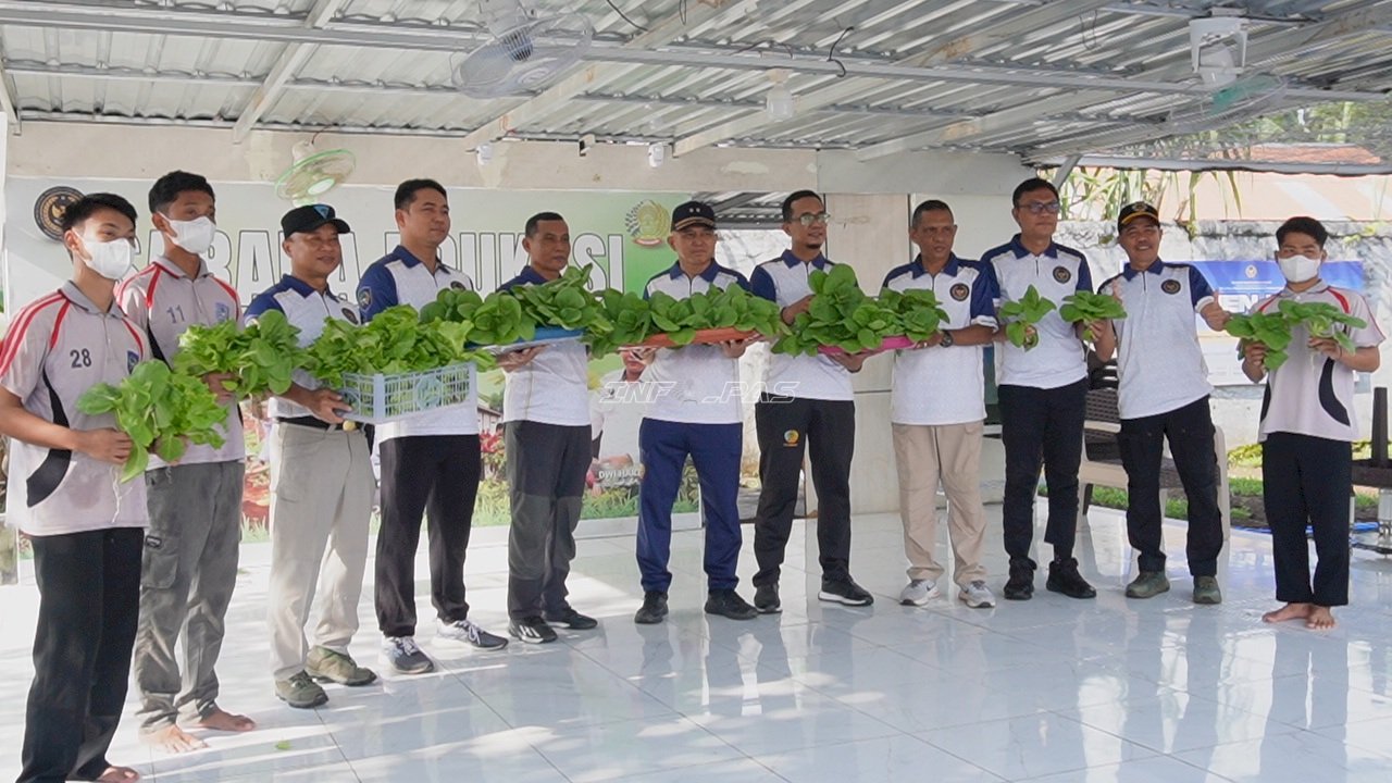 Panen Perdana Hidroponik, Anak Binaan LPKA Martapura Panen Pakcoy dan Selada