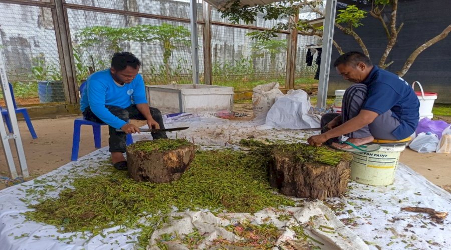 Warga Binaan Lapas Banjarbaru Olah Limbah Dapur Jadi Pupuk Kompos