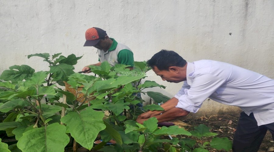Rutan Barabai Panen Terong, Dorong Pembinaan Warga Binaan