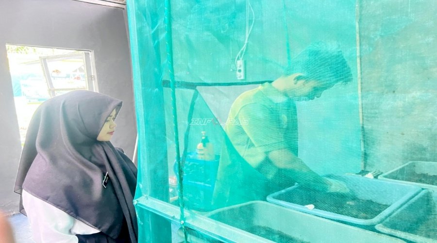Sulap Limbah Jadi Pakan Bernilai, Lapas Banjarmasin Kembangkan Budidaya Maggot 