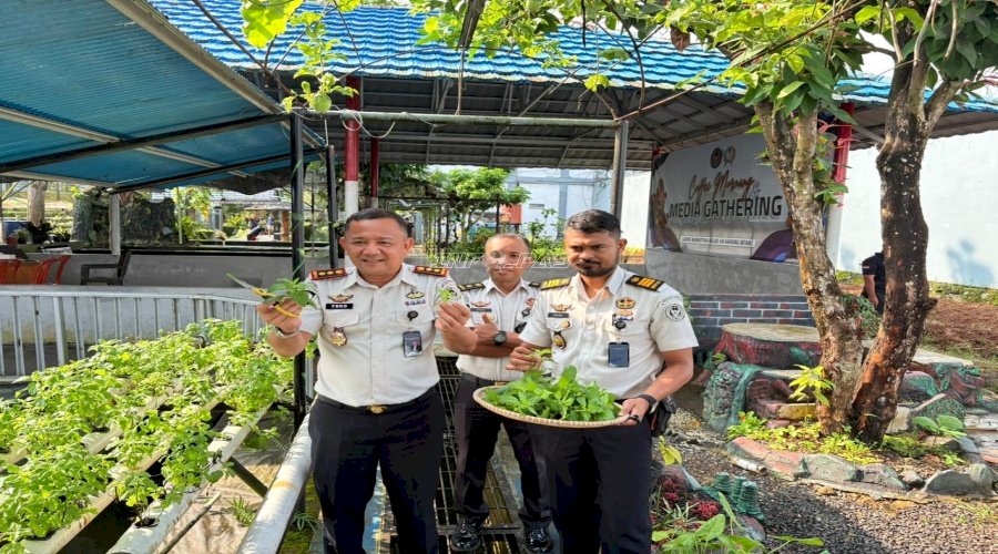 Panen Tiga Kg Daun Mint, Lapas Narkotika Karang Intan Tunjukkan Hasil Pembinaan Berdampak