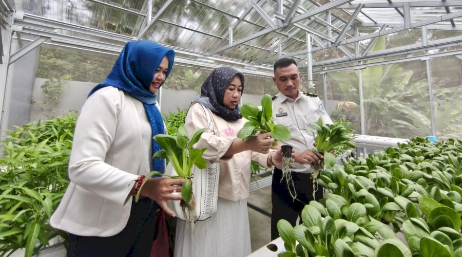 Bapas Tanjungpandan Hadirkan Program Hidroponik, IWAPI Belitung Berikan Apresiasi 