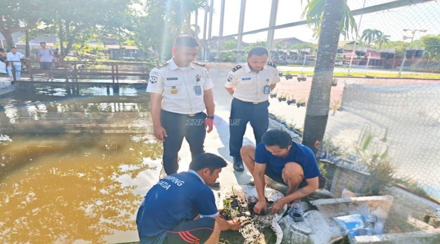 Sulap Limbah Jadi Berkah, Warga Binaan Lapas Banjarmasin Maksimalkan Pemanfaatan Lahan Jadi Taman Produktif
