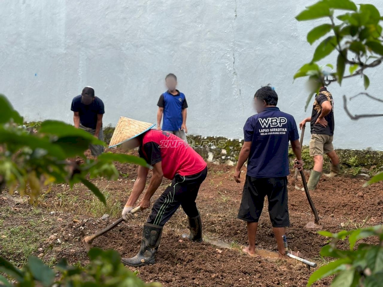Pastikan Keberlanjutan Budidaya Kangkung, Warga Binaan dan Petugas Lapas Narkotika Karang Intan Garap Lahan