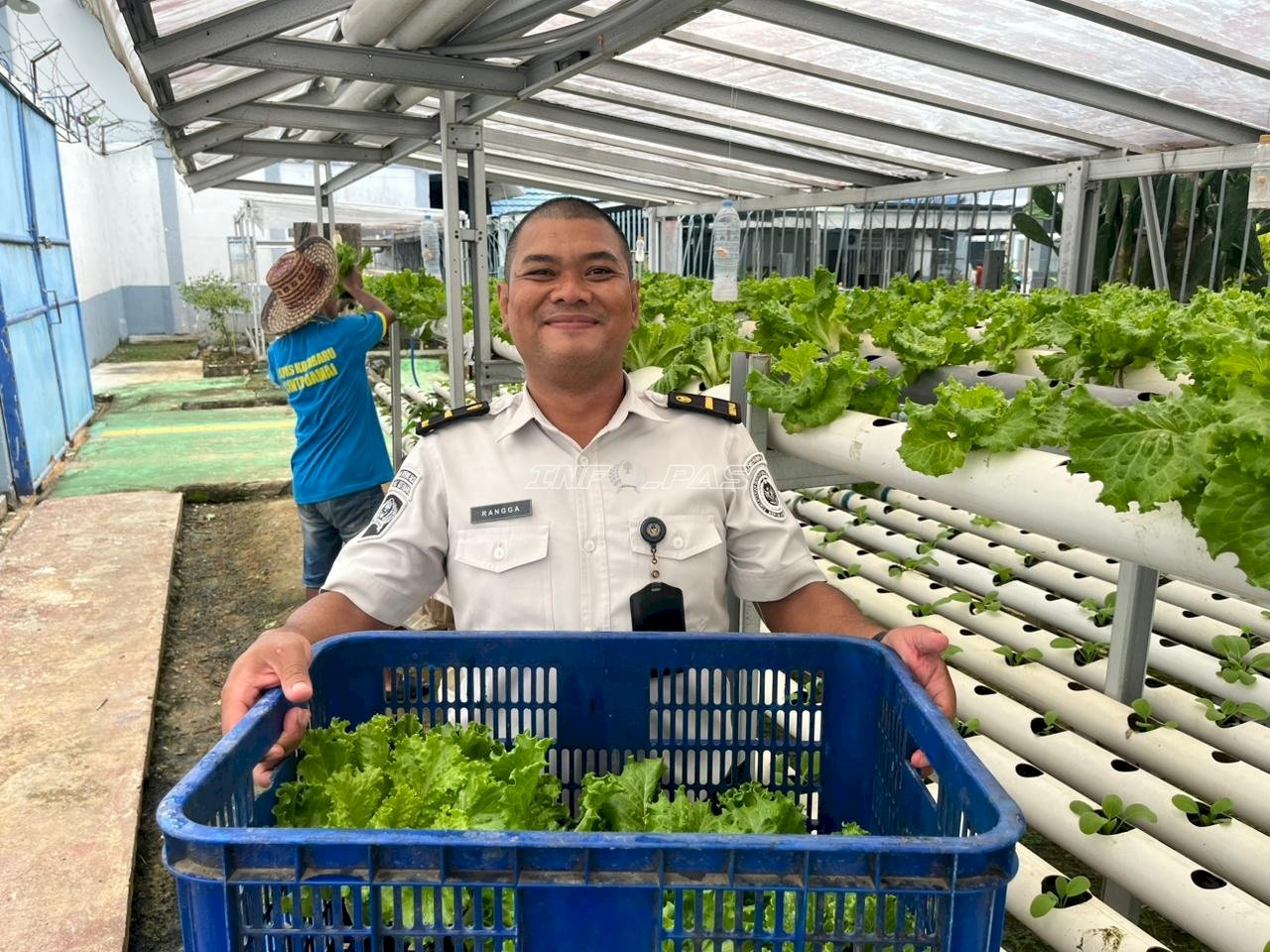 Tak Sekadar Panen, Warga Binaan Lapas Kotabaru Nikmati Premi dari Budidaya Hidroponik