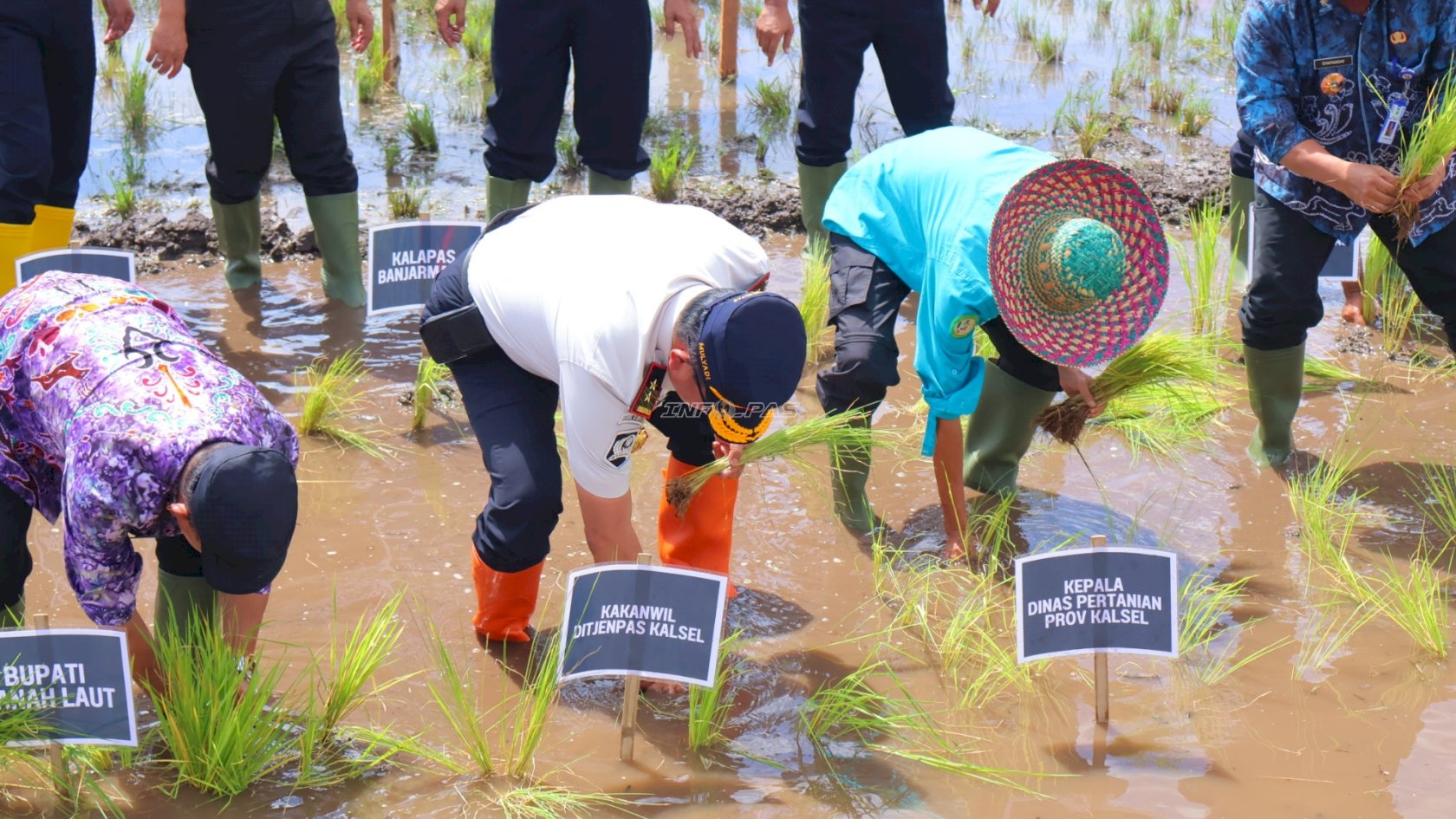Kanwil Ditjenpas Kalsel Perkuat Kemandirian Pangan melalui Penanaman Padi Perdana di Pagatan Besar