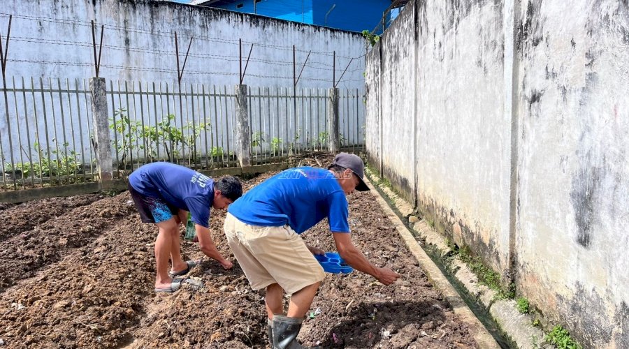 Rutan Barabai Tanam 300 Bibit Buncis, Wujudkan Pembinaan Kemandirian Warga Binaan