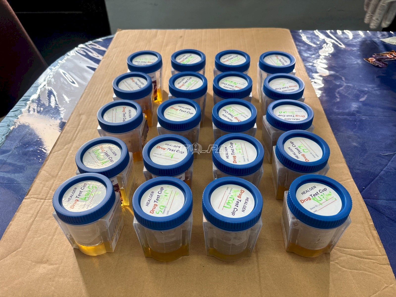 Jelang HBP Ke-62, Kanwil Ditjenpas Sulbar Gencarkan Aksi Berantas Halinar