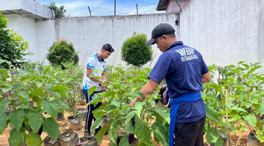 Sukses Pembinaan Kemandirian, Rutan Barabai Panen Beragam Hasil Kebun 