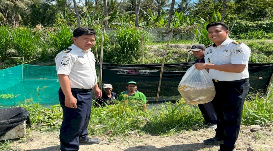 Lapas Palu Wujudkan Warga Binaan Produktif melalui Budidaya Koi