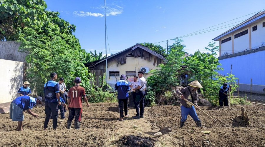 Lapas Tolitoli Tanam Sawi, Wujud Nyata Dukung Ketahanan Pangan