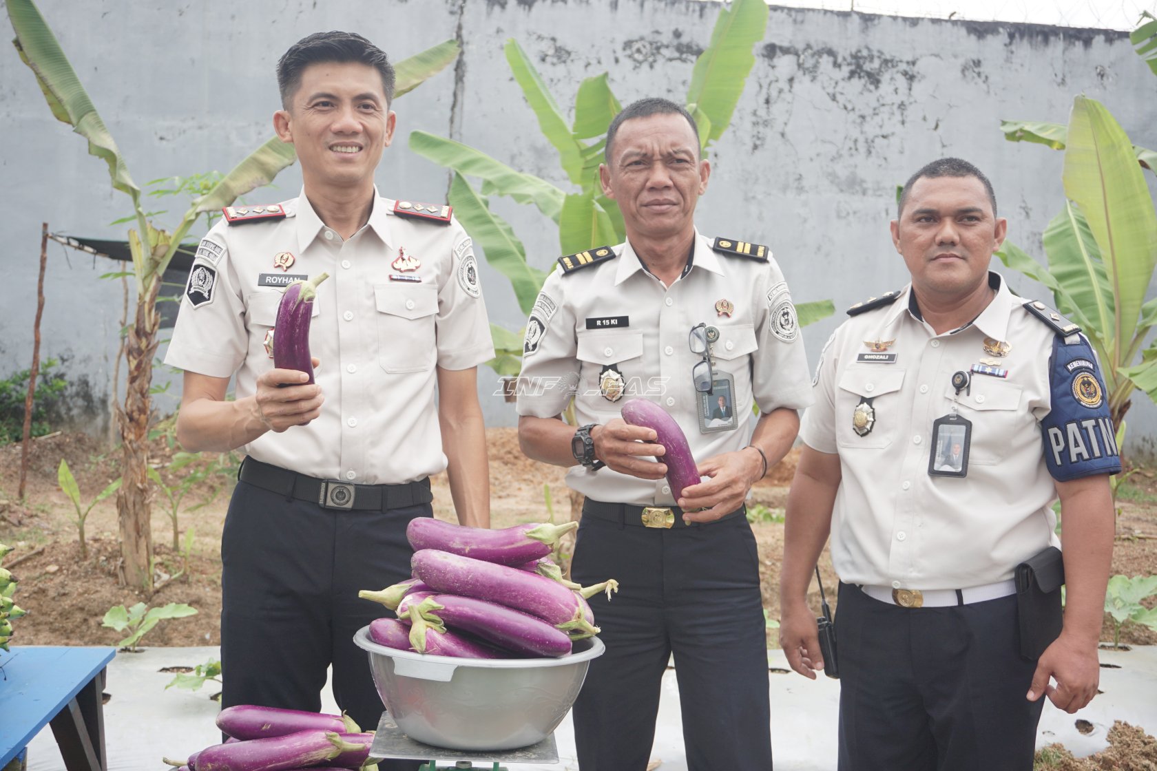 Panen 52 Kg Terung, Lapas Tanjungpandan Buktikan Pembinaan Produktif