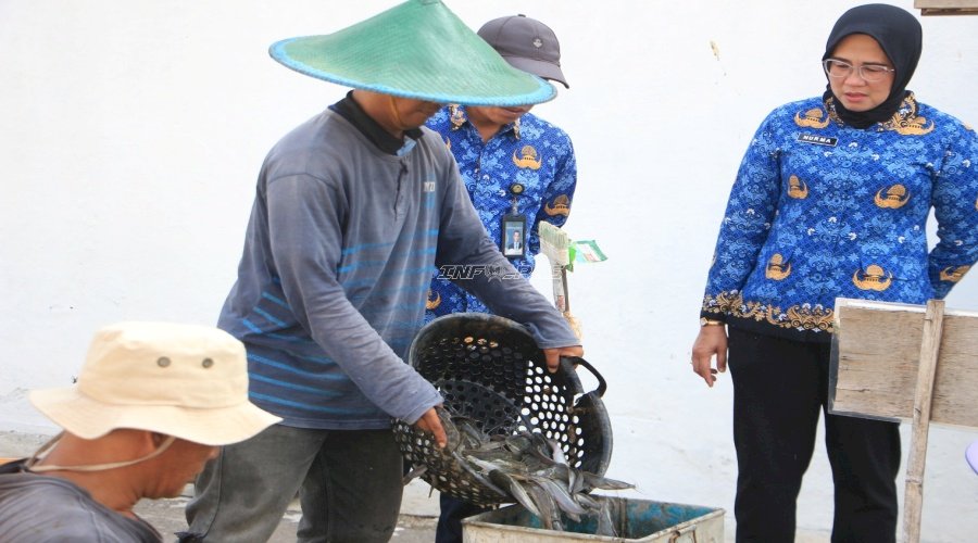 Panen Melimpah, Lapas Kelas I Madiun Sukses Budidayakan Ribuan Lele