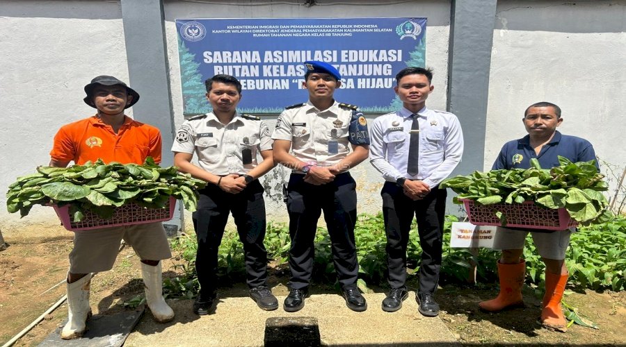 Wujudkan Pembinaan Kemandirian, Rutan Tanjung Panen 100 Ikat Sawi