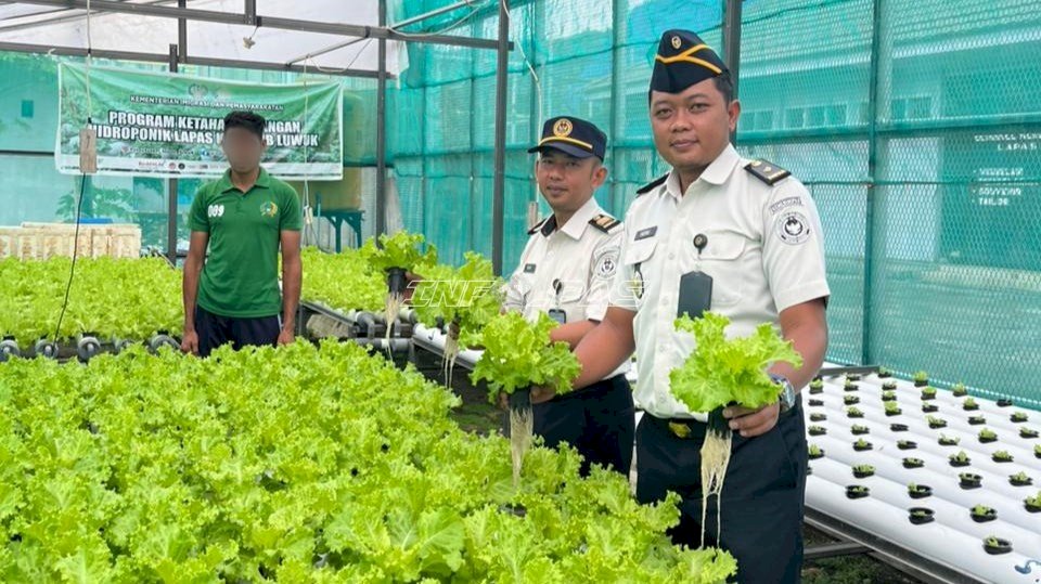 Belajar Menanam di Balik Jeruji, Warga Binaan Lapas Luwuk Kembangkan Sayur Hidroponik