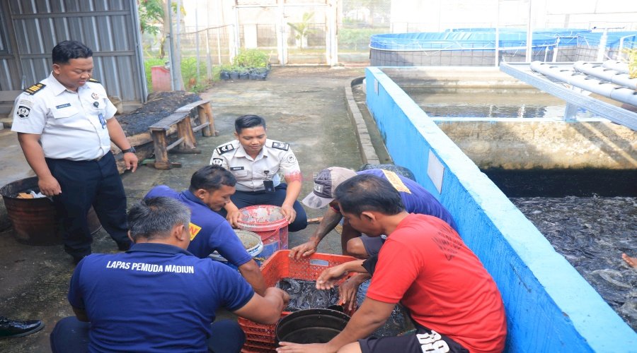 Lapas Pemuda Madiun Panen 61 Kg Ikan Lele, Dukung Ketahanan Pangan dan Kemandirian Dapur