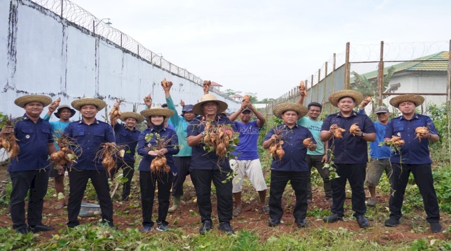 Dukung Program Ketahanan Pangan, Lapas Banjarbaru Panen 75 Kg Ubi Jalar