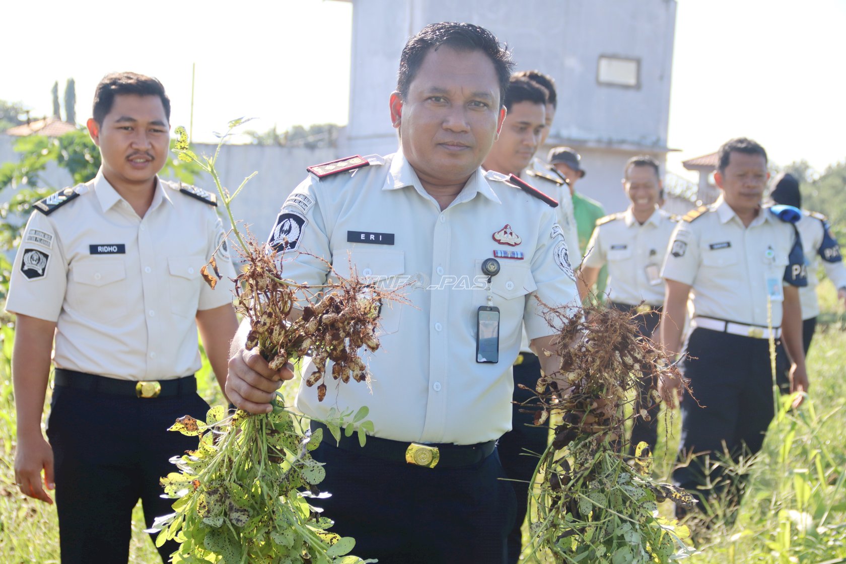Dukung Kemandirian Pangan, Rutan Pelaihari Panen Kacang Tanah di Kebun SAE