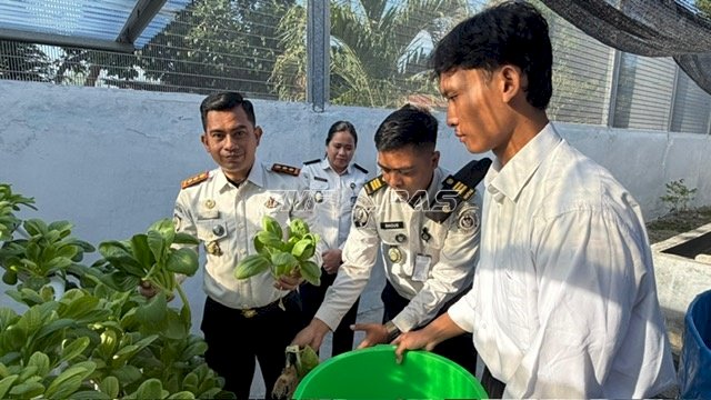 LPKA Palu Panen Perdana Sawi Hidroponik, Bekali Anak Binaan Keterampilan