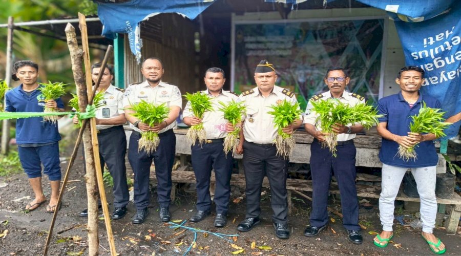 Dari Lahan SAE, Lapas Bandanaira Panen Perdana 20 Ikat Kangkung Segar