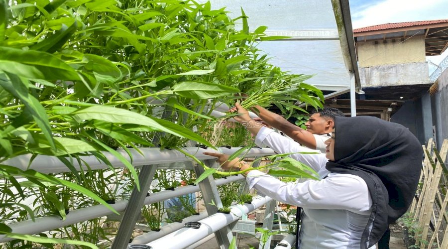 Langkah Nyata Kemandirian Pangan, Lapas Wahai Penuhi Kebutuhan Gizi Dapur dari Kebun Hidroponik