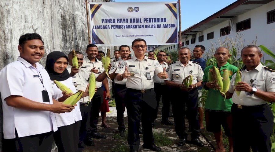 Dukung Kemandirian Ekonomi, Lapas Ambon Panen Jagung dari Lahan Pertanian