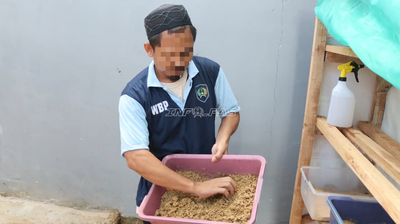 Inovasi Pembinaan, Lapas Batulicin Manfaatkan Limbah Organik untuk Budidaya Maggot