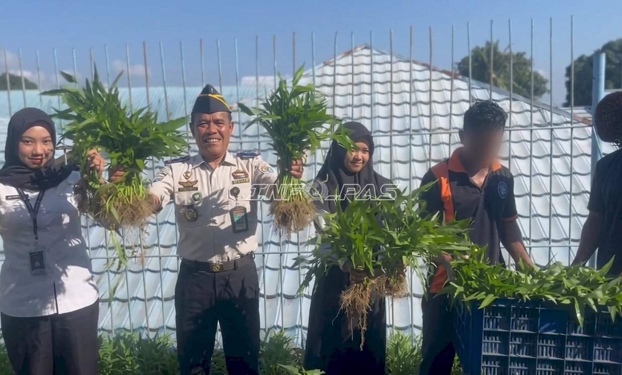 Lapas Kotabaru Buktikan Produktivitas, Panen 46 Kg Kangkung dari Lahan Terbatas