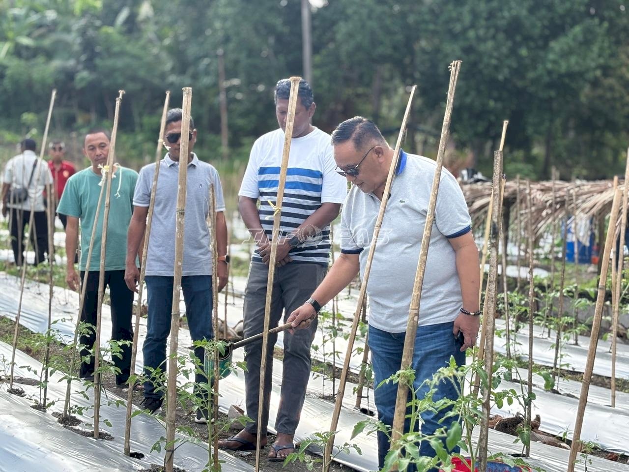 Dorong Ketahanan Pangan, Kakanwil Ditjenpas Sulbar Dukung Pengembangan SAE Rutan Majene