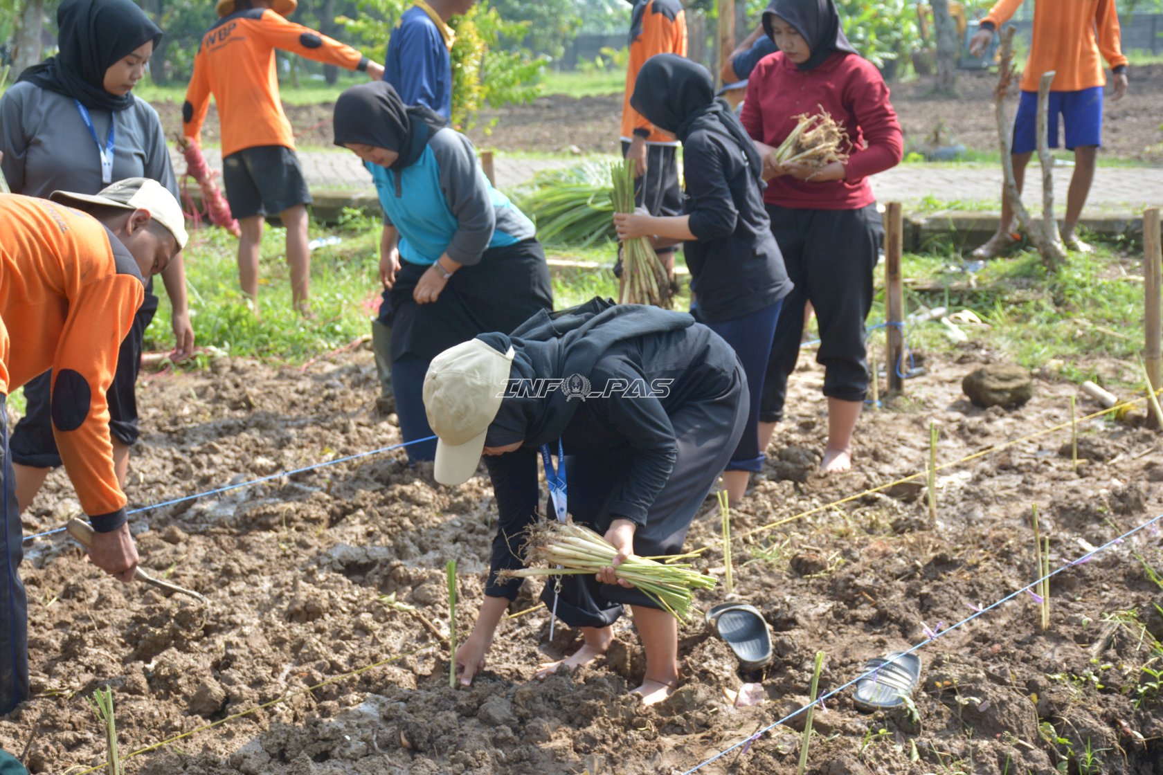 Lapas Terbuka Kendal Tanam 1.000 Sereh Hijau, Dorong Pembinaan Kemandirian Warga Binaan