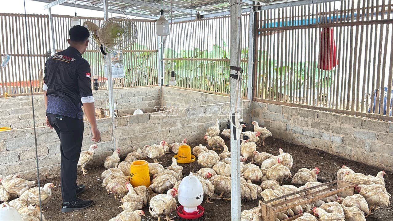 Pembinaan Produktif di Lapas Batulicin Berbuah Panen 255 Kilogram Ayam