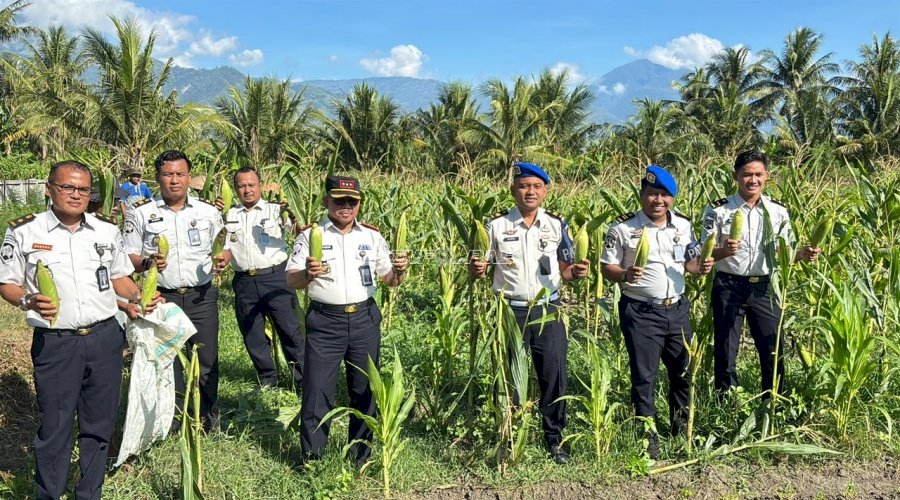 Lapas Palu Sukses Panen 125 Kg Jagung Manis dan 40 Kg Sawi 