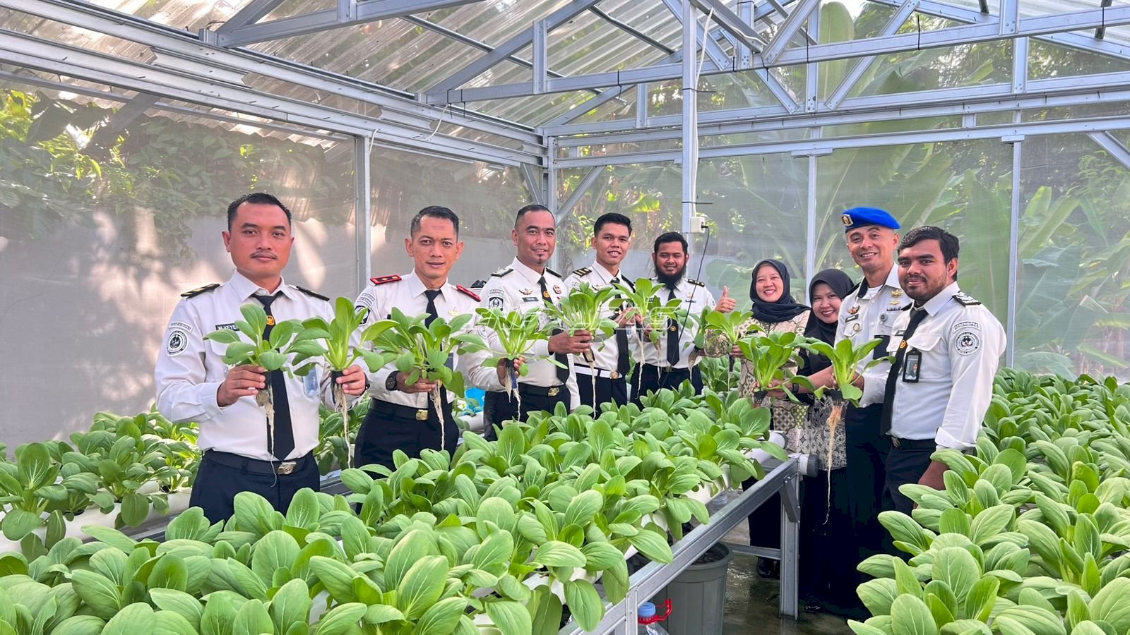 Rumah Hidroponik Bapas Tanjungpandan Hasilkan 35 Kilogram Pakcoy, Dukung Ketahanan Pangan Perkotaan