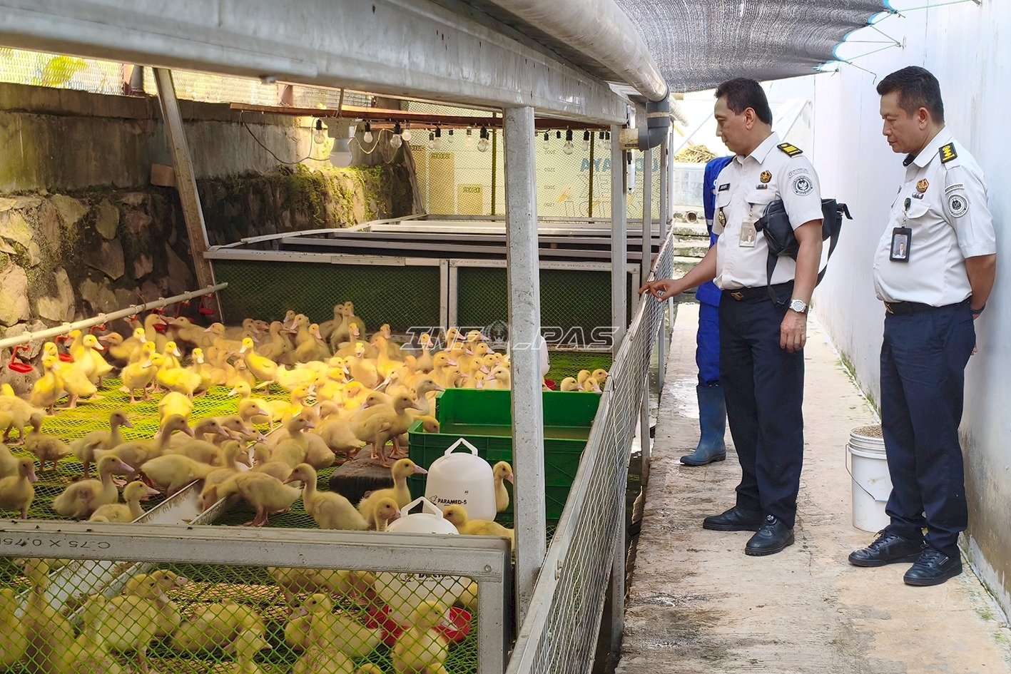 Jadi Lokasi Studi Tiru Rutan Depok, Lapas Cibinong Tampilkan Inovasi Pembinaan