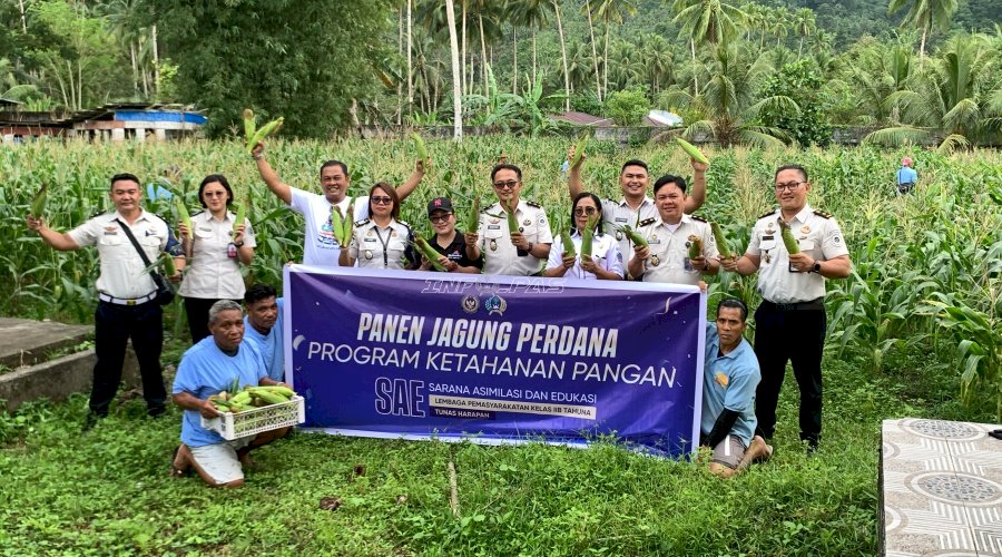 Panen Jagung Perdana, Lapas Tahuna Lanjutkan Program Ketahanan Pangan