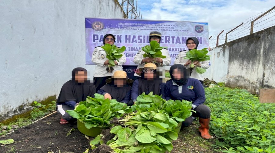 Lapas Perempuan Martapura Panen Sawi dan Pupuk Kompos, Wujud Pembinaan Kemandirian dan Dukun Ketahanan Pangan