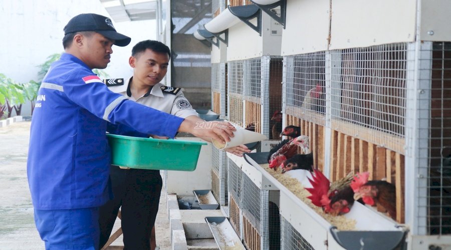Kebun Inovasi Lapas Cibinong, Wadah Pembinaan Produktif dan Dukungan Program Ketahanan Pangan