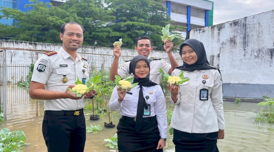 Rutan Barabai Panen Buncis dan Kembang Kol, Dukung Program Ketahanan Pangan