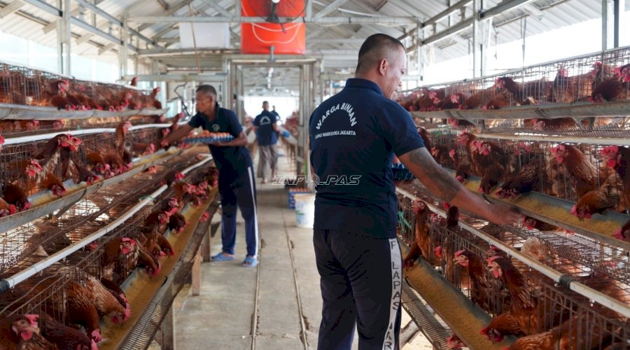 Lapas Narkotika Jakarta Siapkan Napi “From Prisoner to Entrepreneur” lewat Garmen dan Peternakan Ayam Petelur