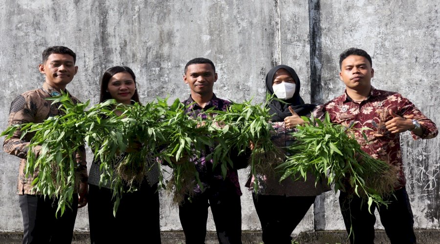Lahan Tidur Jadi Kebun Produktif, Lapas Ambon Panen 20 Ikat Kangkung