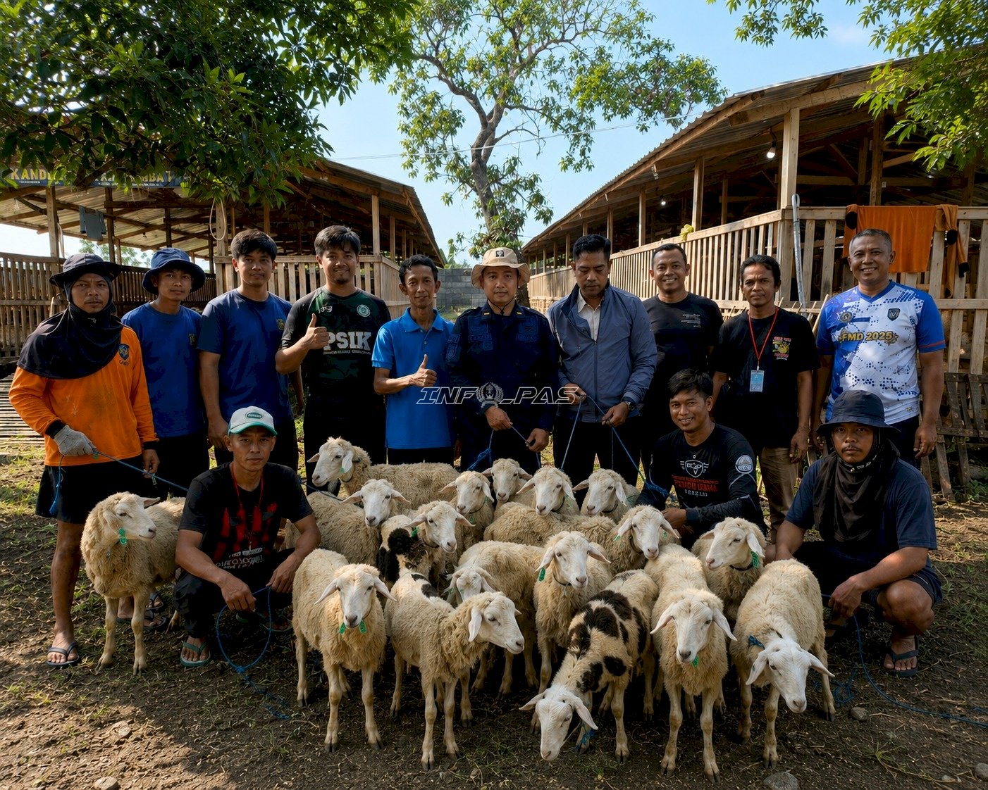 Lapas Terbuka Kendal Salurkan 17 Domba Kurban untuk Bapas se-Jawa Tengah