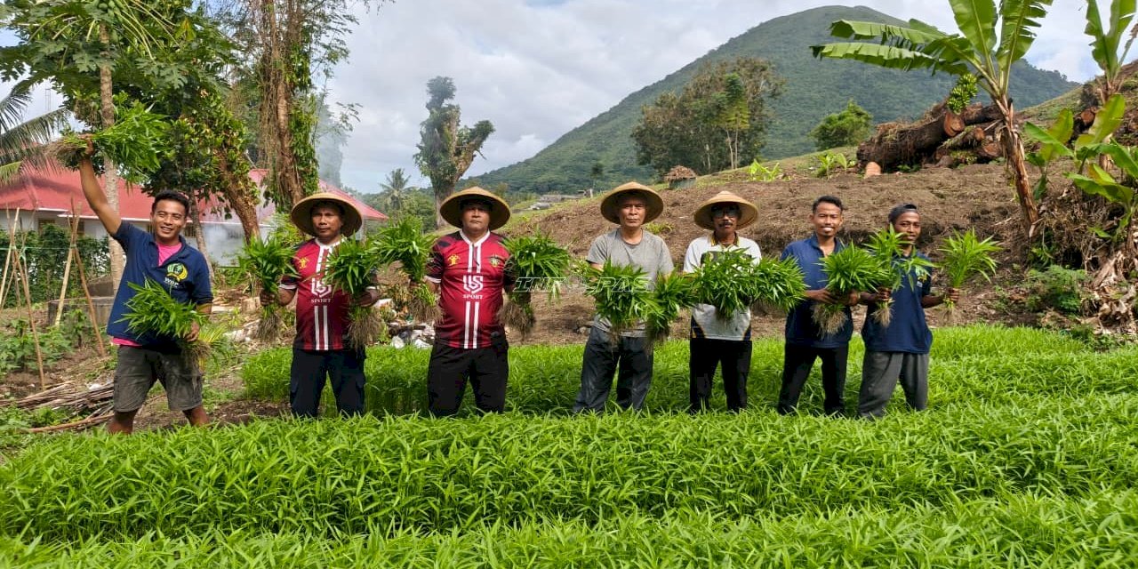 Lapas Bandanaira Panen 25 Ikat Kangkung Segar dari Lahan SAE