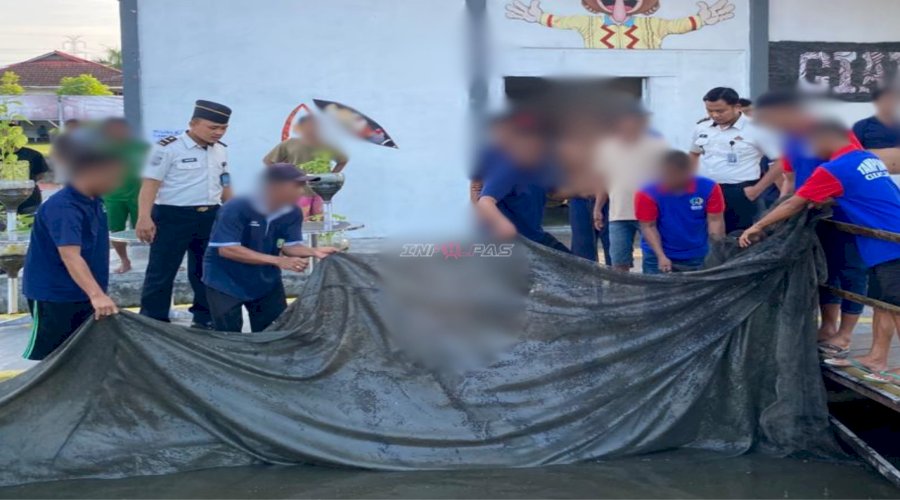 Panen 30 Kilogram Lele, Warga Binaan Lapas Banjarmasin Sukses Program Perikanan