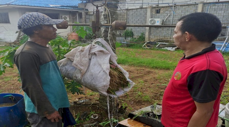 Panen Kangkung 62 Kg, Bukti Nyata Pembinaan Kemandirian di Lapas Narkotika Karang Intan