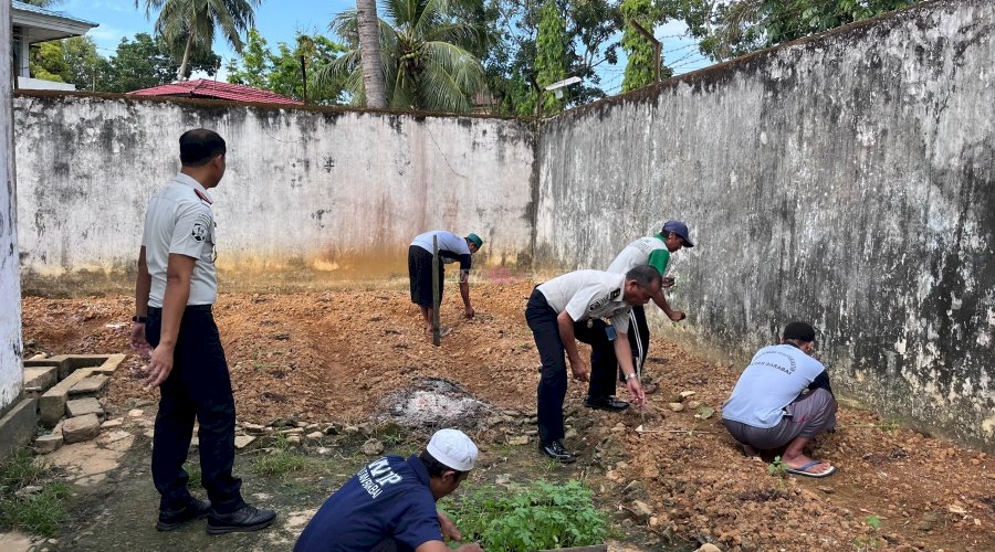 Rutan Barabai Tanam 250 Bibit Tomat, Dukung Program Ketahanan Pangan